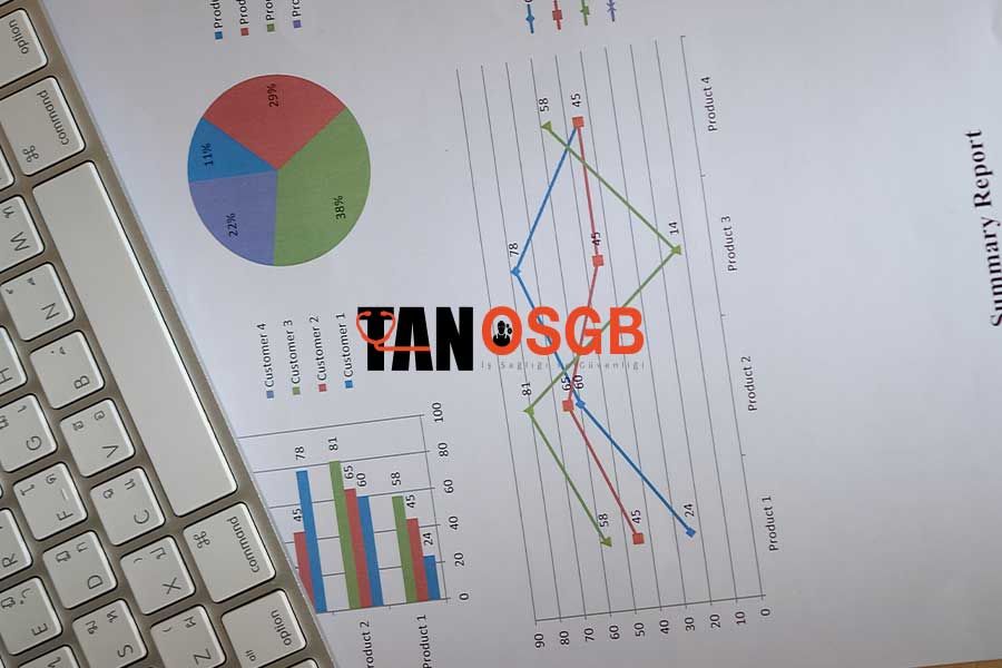 Yıllık Denetim Raporu