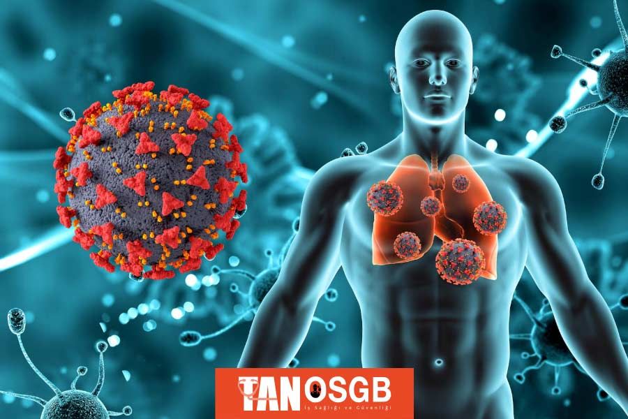 Solunum Sistemi Hastalıkları - Tan OSGB